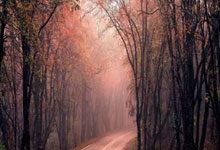 2025深圳英(yīng)雄(xióng)联盟LPL季后赛门票14点开售！附购票入口、对阵图