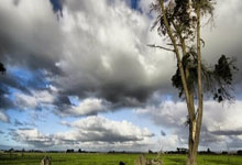 国足2-0力克世界杯参赛队库拉索，张玉宁传射成关键先生