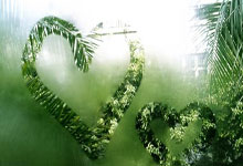 切特·霍姆格(gé)伦如何讓(ràng)2025-26賽(sài)季雷霆成为夺冠熱(rè)门？