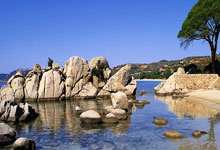 太牛了！塔图姆或将复出！有望大战NBA状元秀